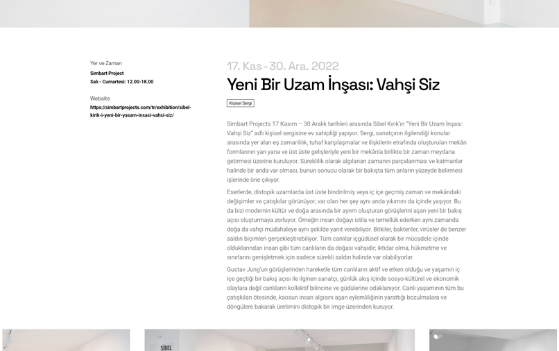sibel-yilmaz-portfolio-9